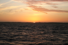 Killikus&reg; Fotographie